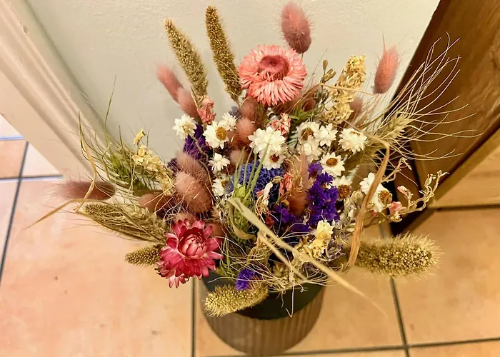 Thatched-roof House At Stettiner Haff Kamminke